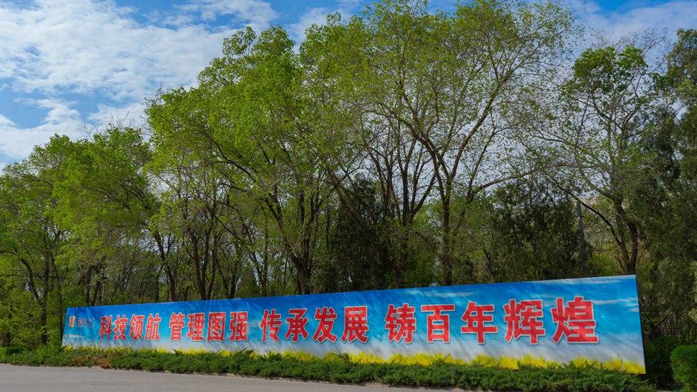 wenhuaqiang_副本_副本.jpg